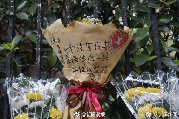 布莱顿官方：门将舍尔彭转会加盟圣吉罗斯，具体条款未公开